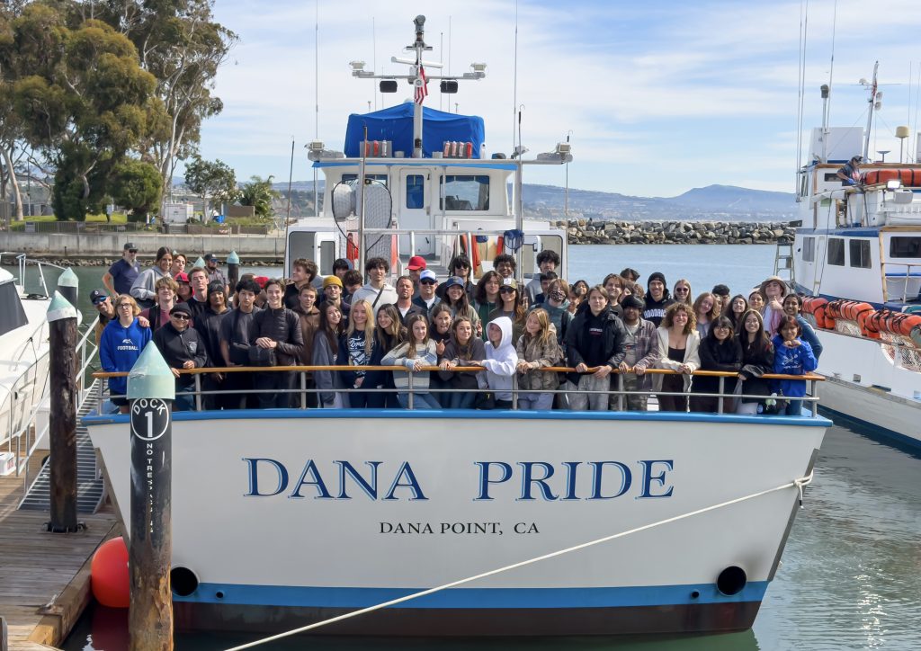Gray Whale Foundation